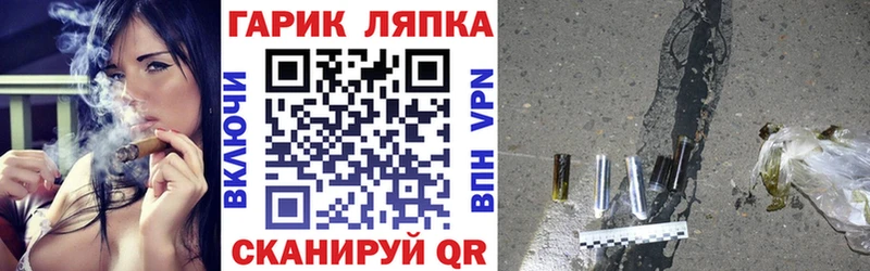 OMG tor  как найти закладки  Жердевка  ГАШ Изолятор 