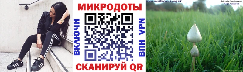 Галлюциногенные грибы Magic Shrooms  Жердевка 